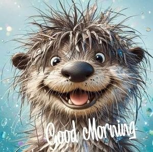 Meet your Posher, Kari